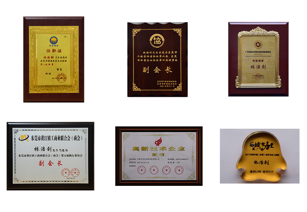 龍達(dá)財(cái)稅企業(yè)榮譽(yù)