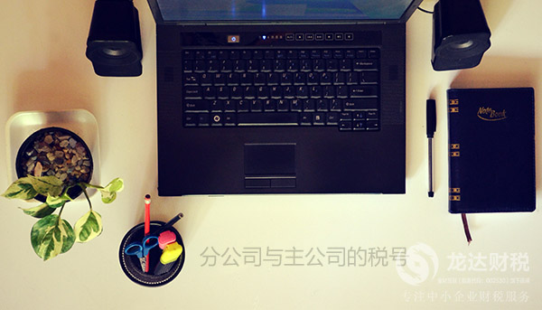 如何分清楚分公司與主公司的稅號(hào)?