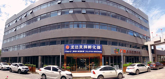 龍達財稅 龍達財稅